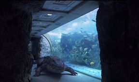 Aquarium of the Dead