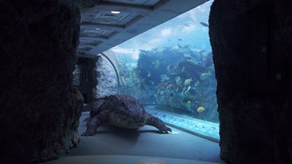 Aquarium of the Dead