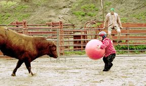 Jackass 3.5