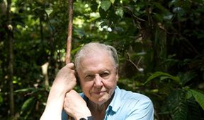 Attenborough: 60 let v divočině (3)