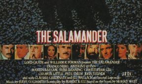Salamandr