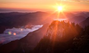Jak se vrací prales - Národní park Kalkalpen