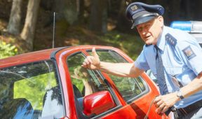 Policie Modrava III (2)