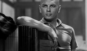 Yul Brynner: jeden ze statečných