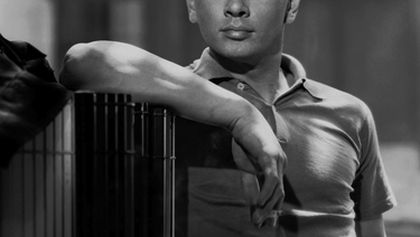 Yul Brynner: jeden ze statečných