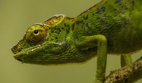 Neznámý Madagaskar (2/2)