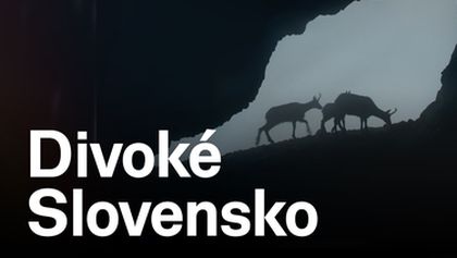 Divoké Slovensko