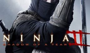 Ninja 2: Pomsta