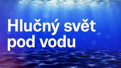 Hlučný svět pod vodou
