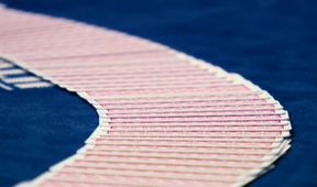 Sharkbay Main Event, Poker