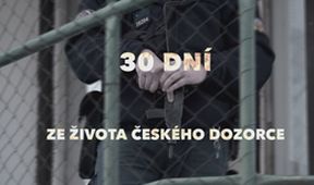 30 dní ze života českého dozorce