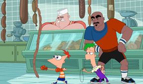 Phineas & Ferb (5/26)