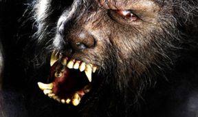 Wolfman
