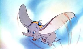 Dumbo