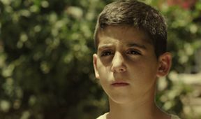 Fauda (3/12)
