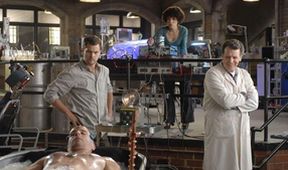 Fringe III (20/22)