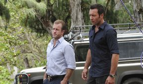 Hawaii Five-O III (1/24)