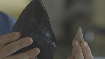Mytická monstra oceánských hlubin