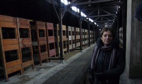 Sedm světel
