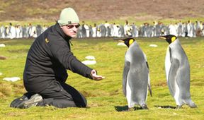 Falklandy - ráj tučňáků