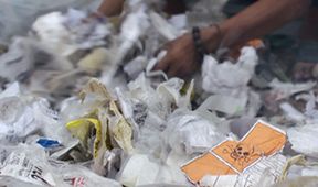 Život na hromadě plastů