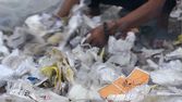 Život na hromadě plastů