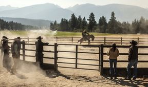 Yellowstone (1)