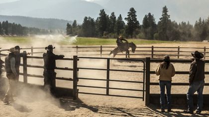 Yellowstone (1)