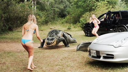 Megakrokodíl verzus superanakonda