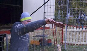 Světský (2/6)