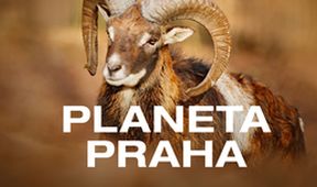 Planeta Praha