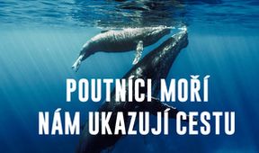 Poutníci moří nám ukazují cestu