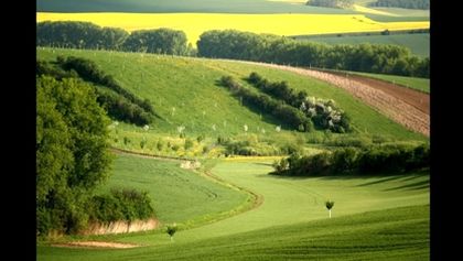 Tisíc let české myslivosti (5/9)
