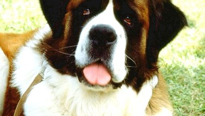 Beethoven