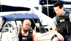 Hawaii 5-0 V (2)