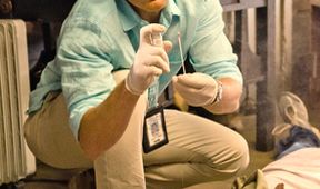 Dexter VIII (2)