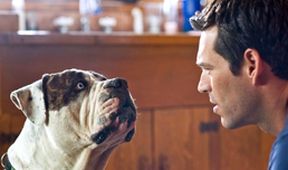 Nora Roberts: Polární žáře