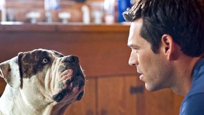 Nora Roberts: Polární žáře