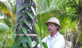 Ostrovy snů: Réunion
