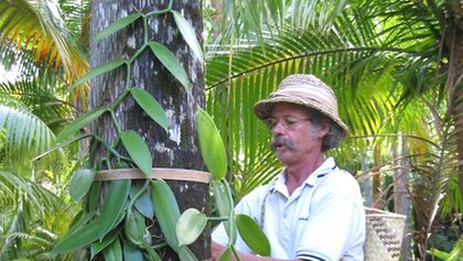 Ostrovy snů: Réunion