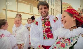 Barevný klapot podkov