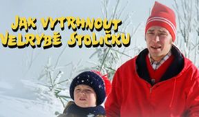 Jak vytrhnout velrybě stoličku