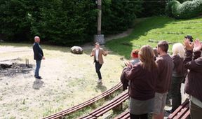 ZOO (49)