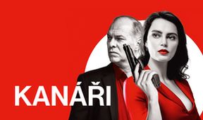 Kanáři, Kino Art
