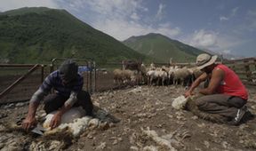 Na cestě po gruzínské Kazbegi