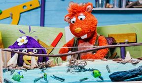 ABC Bär