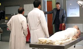Dr. House V (9)