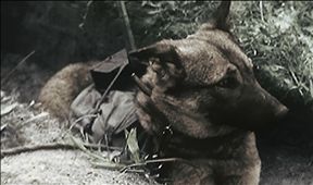Apokalypsa: 2. světová válka (4/6)