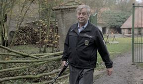 Záblesky chladné neděle