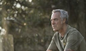 Bosch IV (6/10)